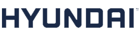hyundai.png